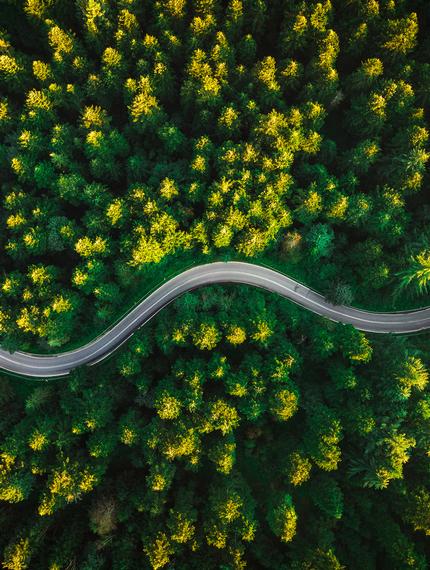 curvy-road